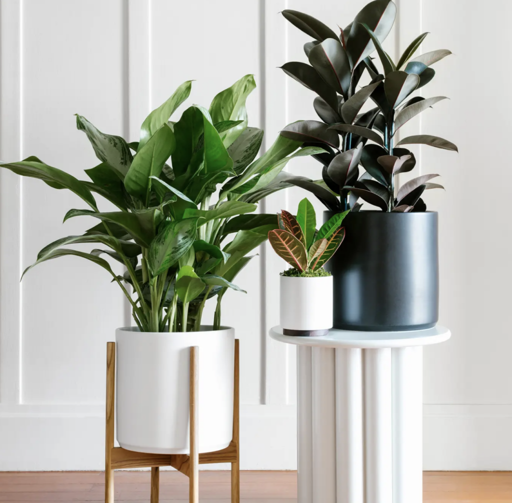 ceramic potting pots