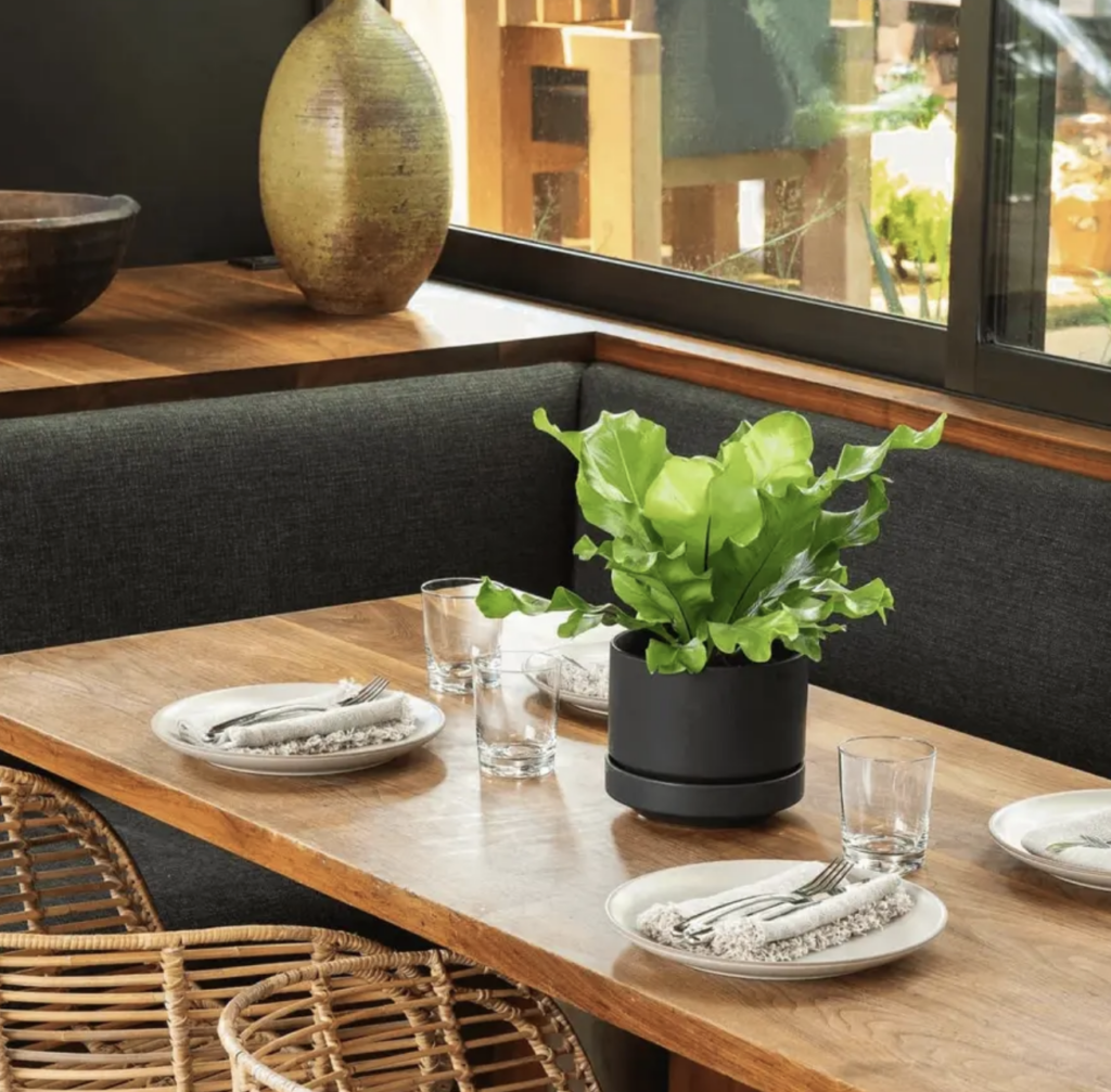 indoor planters for plants