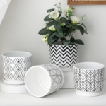 Ceramic Plant Pots