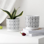 Ceramic Plant Pots