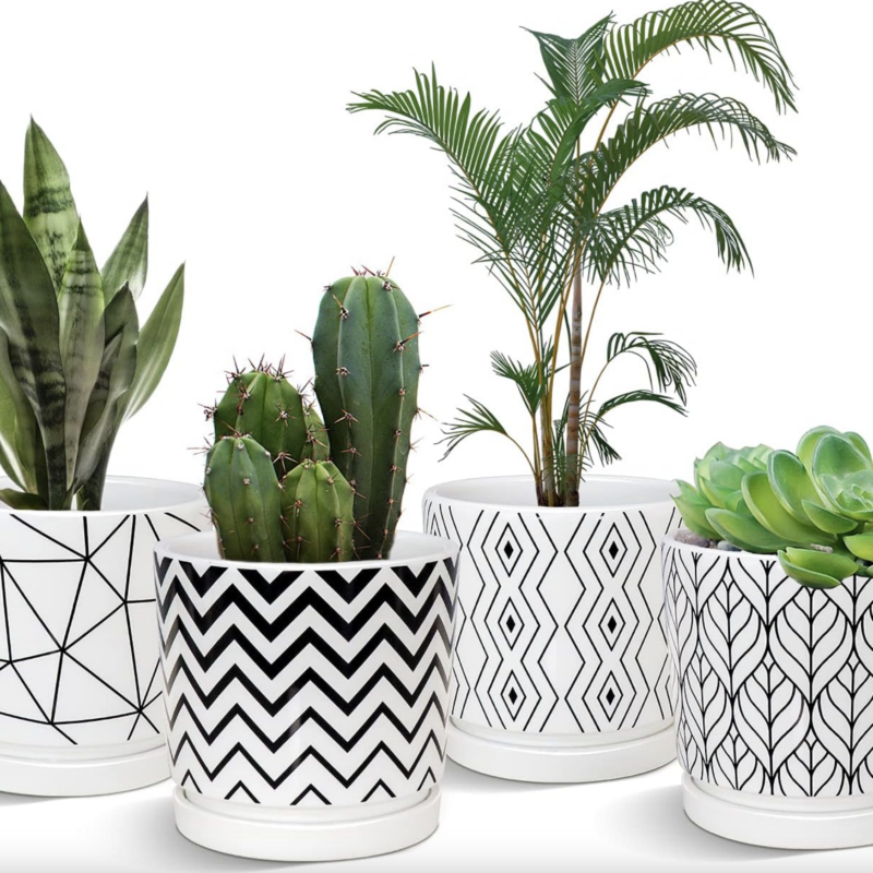 Ceramic Plant Pots