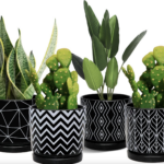 ceramic planter