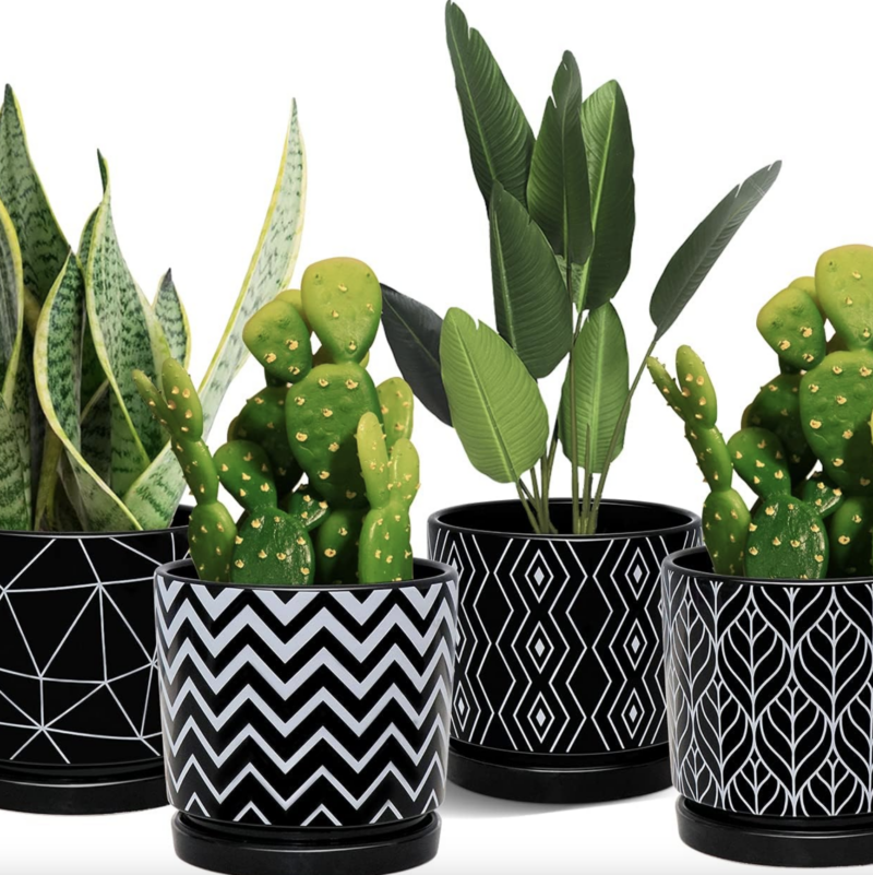 ceramic planter