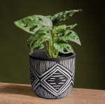 decorative indoor flower pots