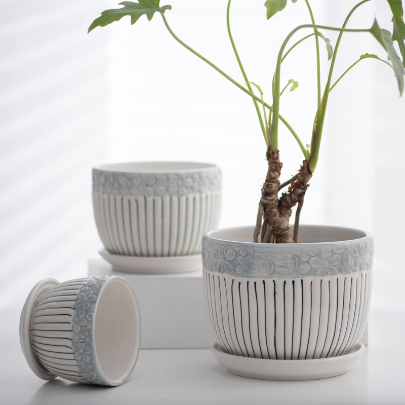 ceramic indoor pots