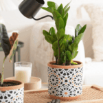 ceramic planters for plants