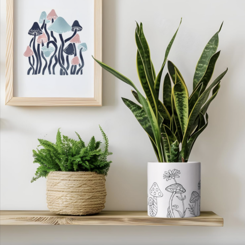 ceramic planters for indoor plants