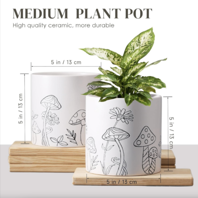 ceramic planters for indoor plants - size