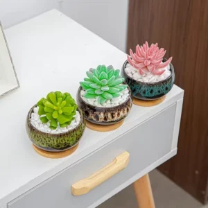 cute ceramic succulent pots set of 8 mini plant pots indoor
