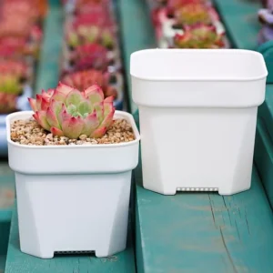 frosted square planters indoor modern plastic plant pots set