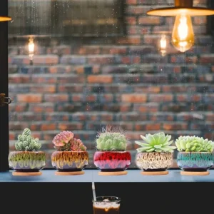 mini ceramic planters set small cute pots for succulents