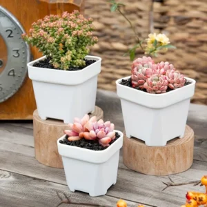 square plant pots set of 5 frosted plastic planters with drainage